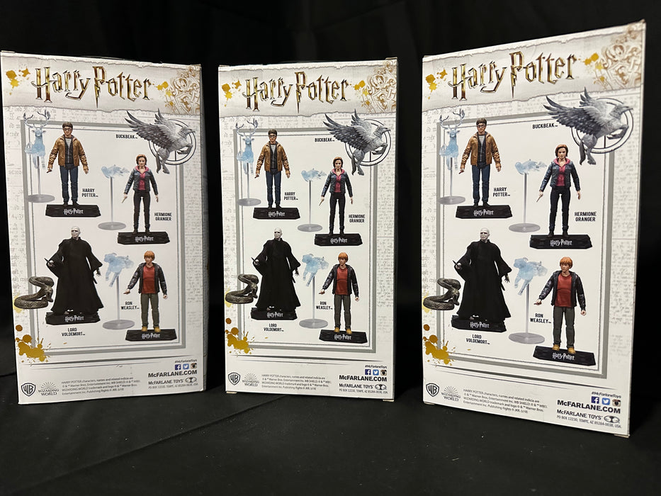 McFarlane Toys: Wizarding World - Voldemort, Hermione, Ron Weasley (3 Figures)