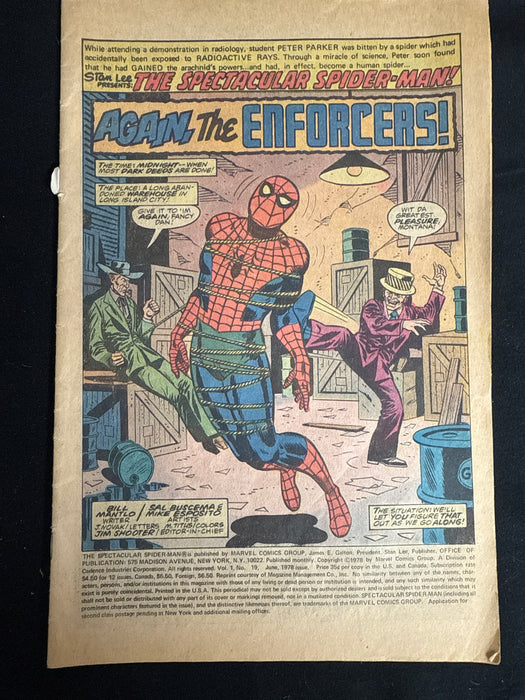 Coverless: Spectacular Spider-Man # 19  PR (0.5)