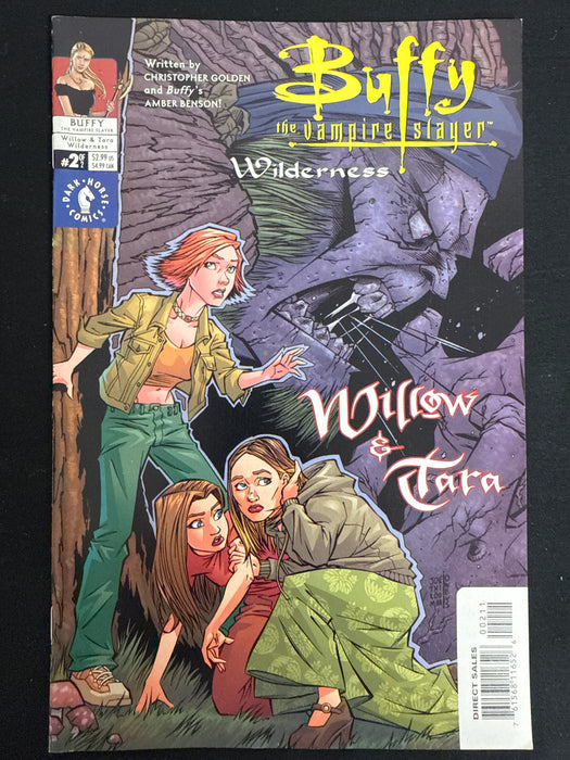 Buffy the Vampire Slayer: Willow & Tara - Wilderness #  2 Art Cover VF/NM (9.0)