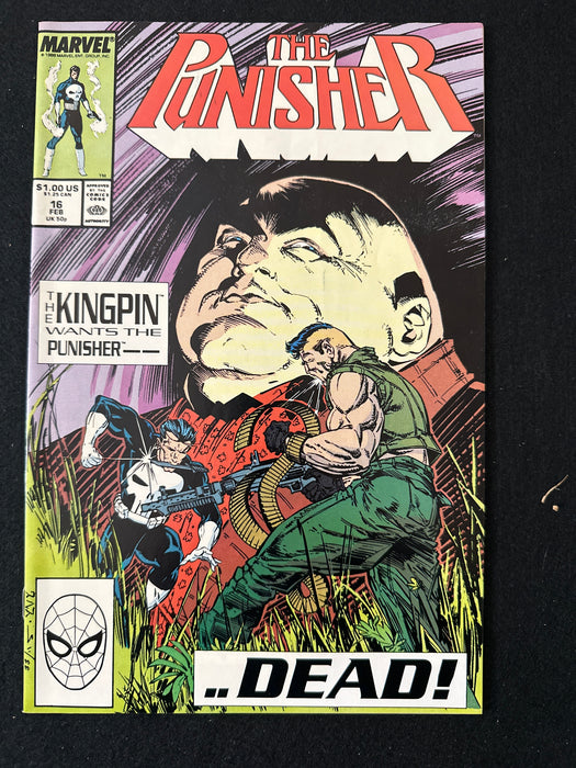 Punisher # 16  Vol. 2 NM- (9.2)