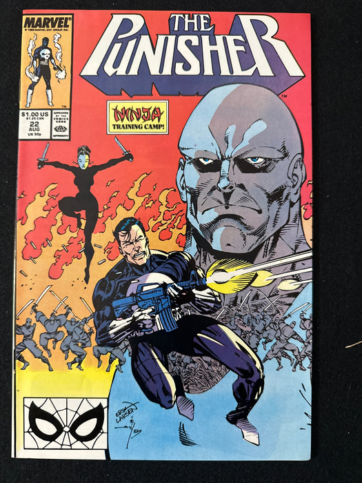 Punisher # 22  Vol. 2 NM- (9.2)