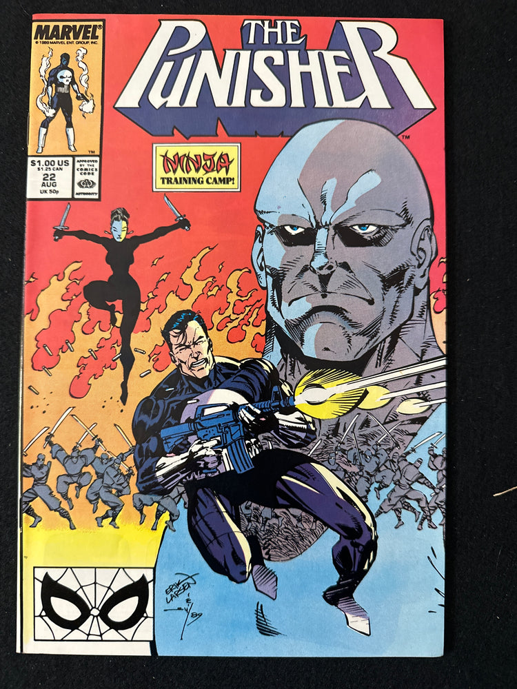 Punisher # 22  Vol. 2 NM- (9.2)