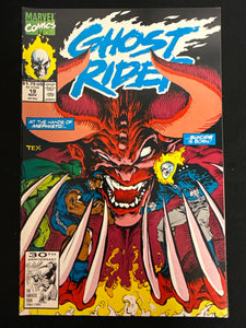 Ghost Rider # 19 Vol. 2 VF/NM (9.0)