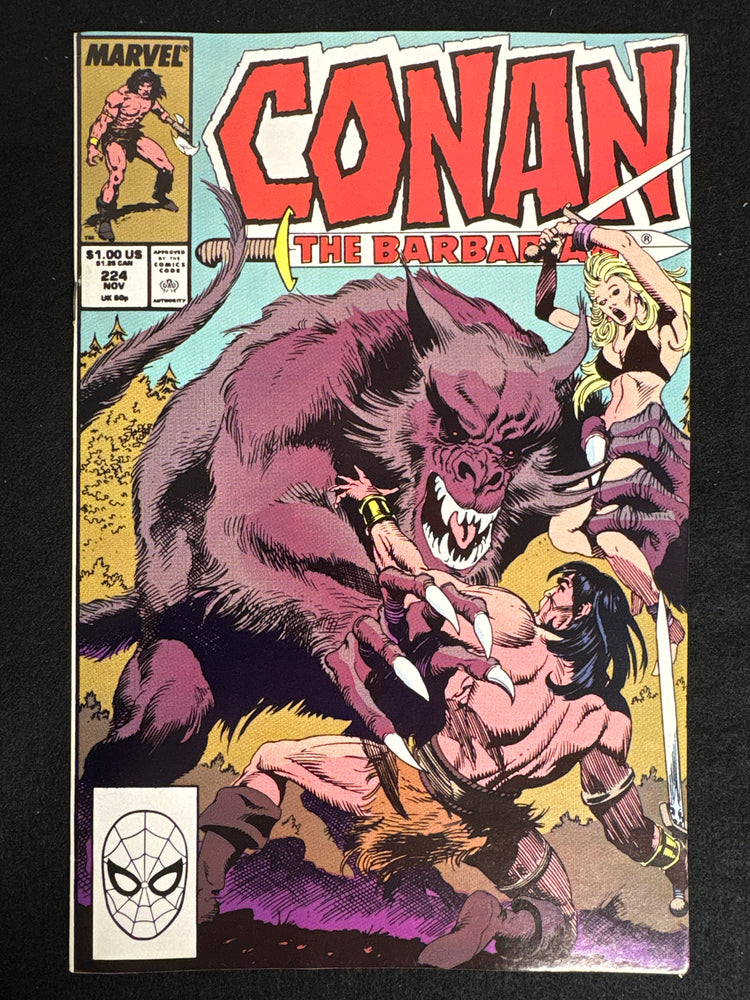 Conan the Barbarian #224  VF (8.0)