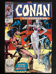 Conan the Barbarian #227 FN (6.0)