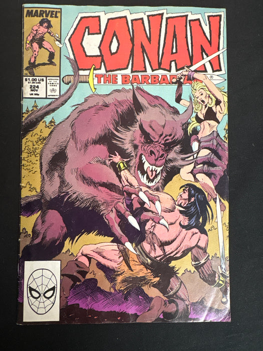 Conan the Barbarian #224  VG/FN (5.0)