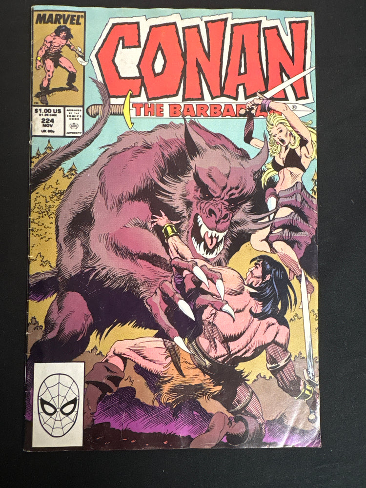 Conan the Barbarian #224  VG/FN (5.0)