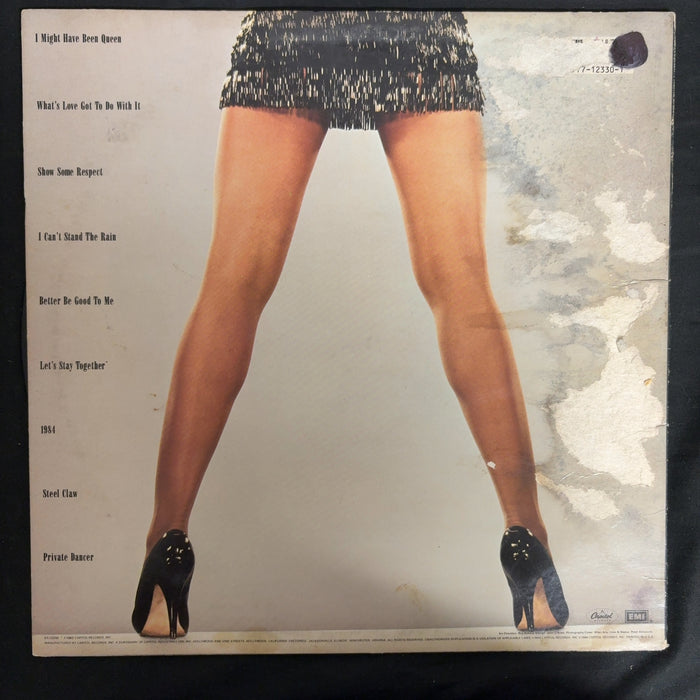 Tina Turner Private Dancer