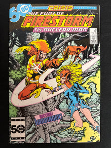 Fury of Firestorm # 41 NM (9.4)