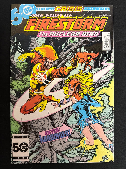 Fury of Firestorm # 41 NM (9.4)
