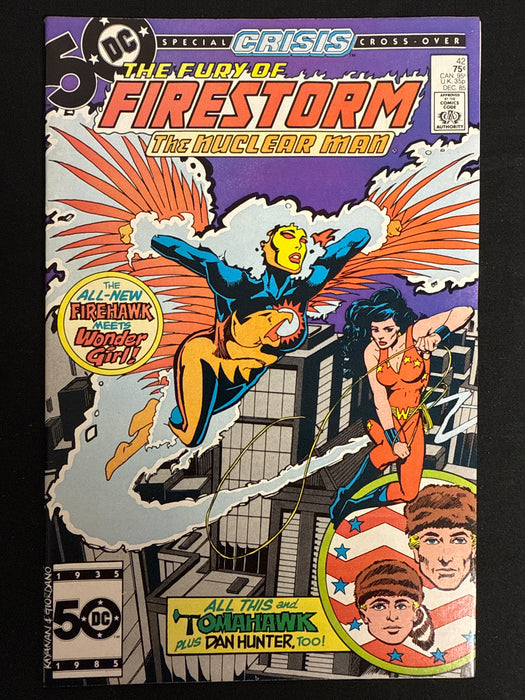 Fury of Firestorm # 42 NM (9.4)