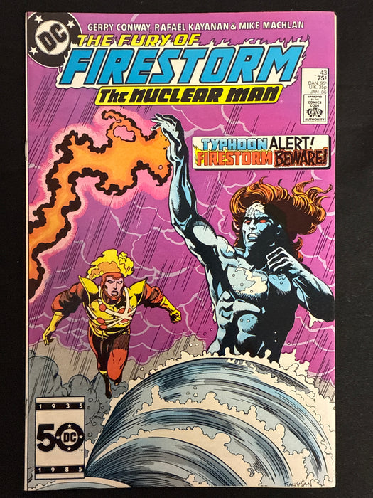 Fury of Firestorm # 43 NM (9.4)