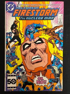 Fury of Firestorm # 46 VF (8.0)