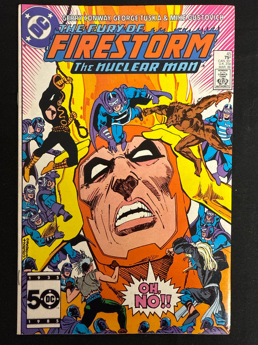 Fury of Firestorm # 46 VF (8.0)