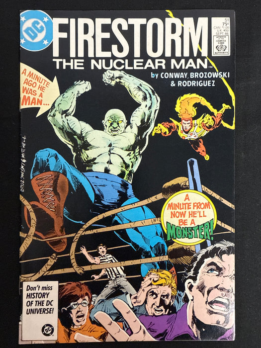 Fury of Firestorm # 51 NM (9.4)