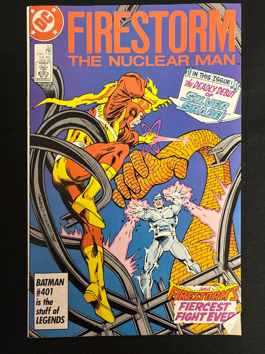 Fury of Firestorm # 53 NM- (9.2)