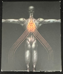 TOOL Salival (2000) Limited Edition - First Release With Misprints