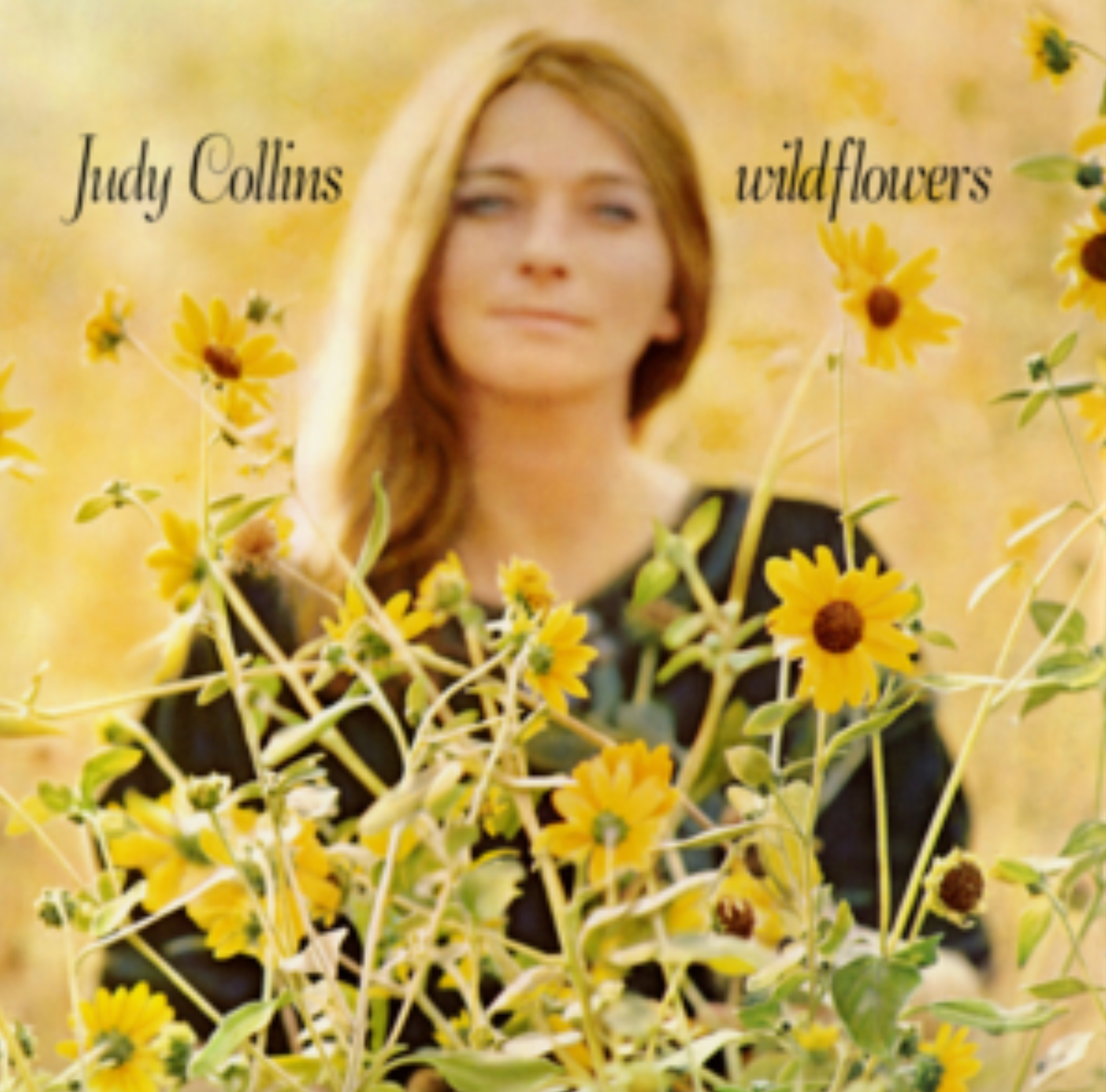 Judy Collins Wildflowers