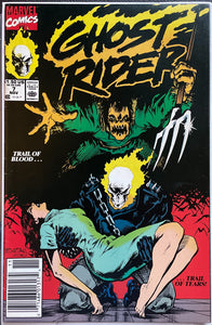 Ghost Rider #  7 Newsstand Vol. 2 FN/VF (7.0)